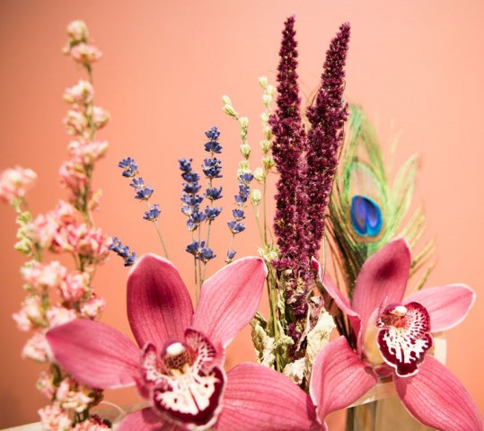 HeleenValstar_Tradefair_Prinsorchidee_6